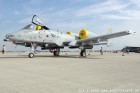 DSC_3154.jpg
