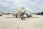 DSC_3419.jpg
