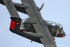 DSC_8402.jpg