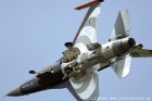 DSC_7764.jpg