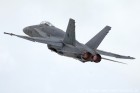 DSC_8202.jpg