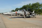 DSC_5615.jpg