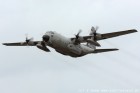 DSC_2020.jpg